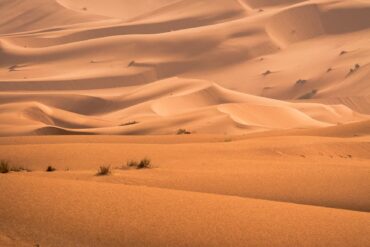 desert
